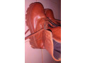 chaussure-montante-pour-femme-small-3