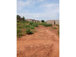 Terrains de 280m² à vente DOGONA