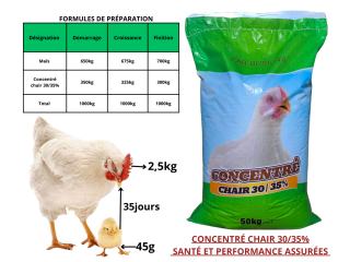 Super Concentré chair 30/35%