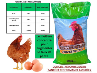 Super Concentré ponte 30/35%