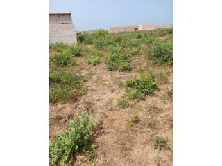 Terrains  a vente Dogona 290m²