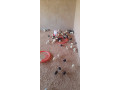 formation-en-ouvrier-fermier-eleveur-small-1