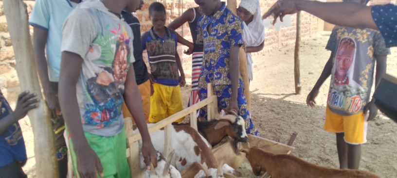 formation-en-ouvrier-fermier-eleveur-big-0