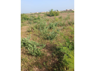 PARCELLE A VENTE DOGONA