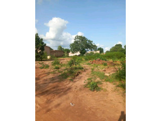 PARCELLE A VENTE KIRI SECTEUR 23