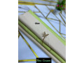 tissus-ecriture-small-2