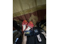 chaussures-plat-et-demi-talon-small-2