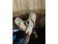 chaussures-plat-et-demi-talon-small-4