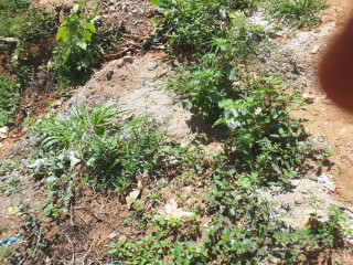 PARCELLE A VENDRE :  Trame dAccueil  Ouaga 2000