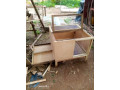 eleveusespoussiniere-small-0