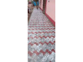 production-de-toutes-genres-de-paves-small-3