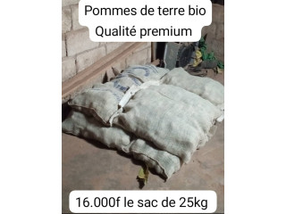Vente de pommes de terre bio, disponible à Wemtenga