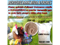 aliments-volailles-small-0