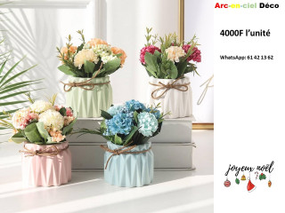 Promotion pots de fleur