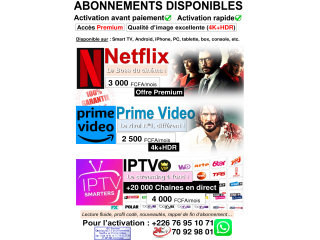Abonnement Netflix et iptv