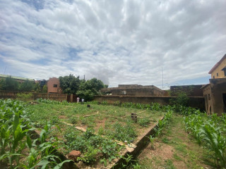 UNE PARCELLE DE 400 M² EN VENTE A OUAGA 2000 ZONE C SUR PERFECTOR IMMOBILIER