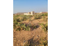 parcelle-280m2-a-vente-dogona-small-0