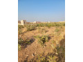 parcelle-280m2-a-vente-dogona-small-4