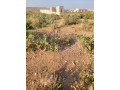 parcelle-280m2-a-vente-dogona-small-1