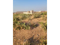 parcelle-280m2-a-vente-dogona-small-3