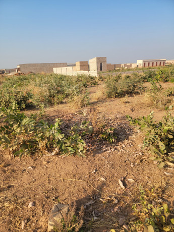 parcelle-280m2-a-vente-dogona-big-0