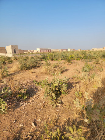parcelle-280m2-a-vente-dogona-big-4