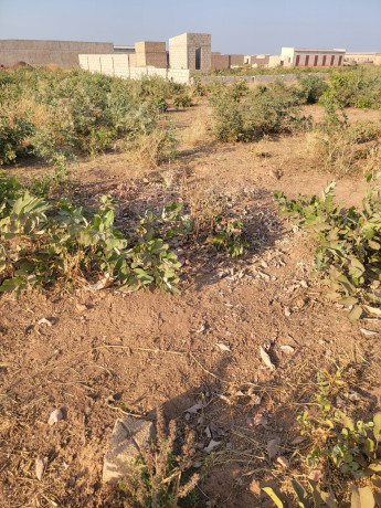 parcelle-280m2-a-vente-dogona-big-1