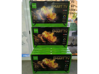 Télévision  écran 43