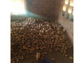 pomme-de-terre-en-destockage-a-ouahigouya-small-0