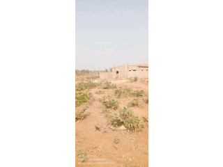 Parcelle 240M2 a vente belle ville