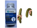 libao-de-longrich-small-3